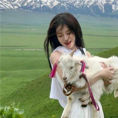 汽车先生和圣殿骑士团